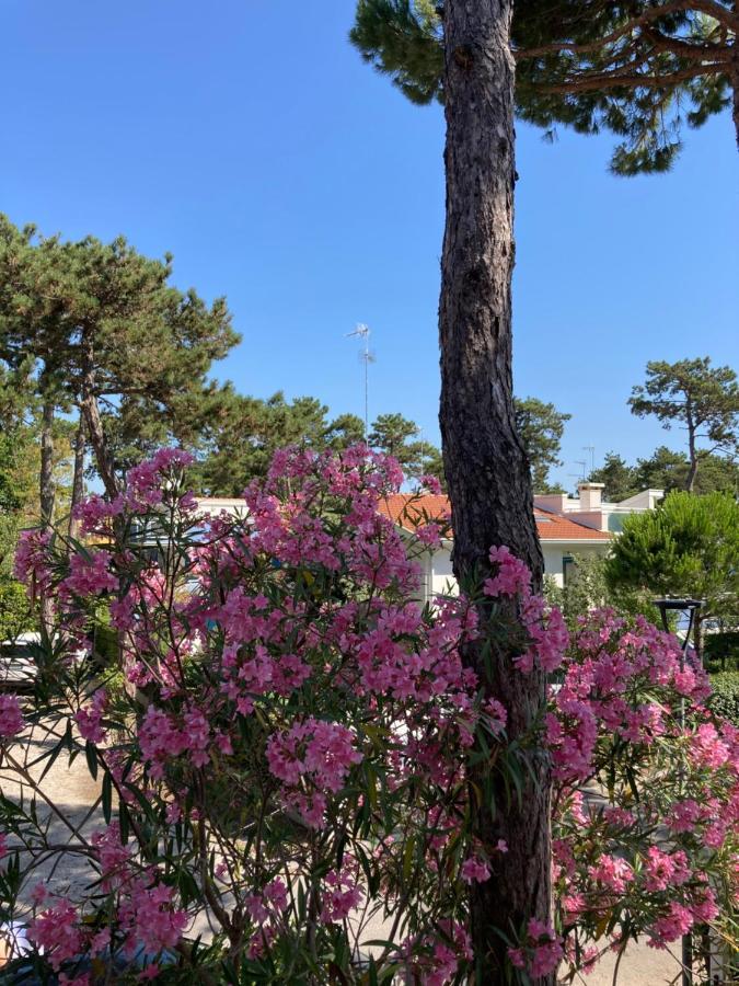 Villa Vittoria Lignano Sabbiadoro Exterior foto